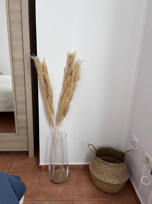 Casa Lunita Apartment อาโรนา ภายนอก รูปภาพ