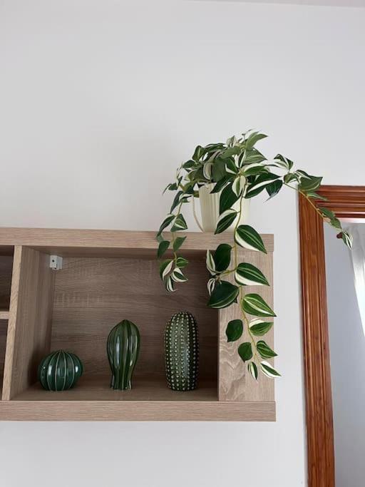 Casa Lunita Apartment อาโรนา ภายนอก รูปภาพ